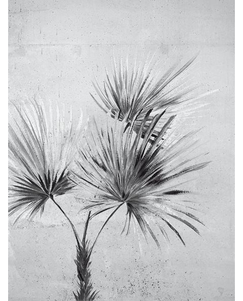 Tapeta Favourites 309095