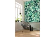 Tapeta Evergreen P023-VD2