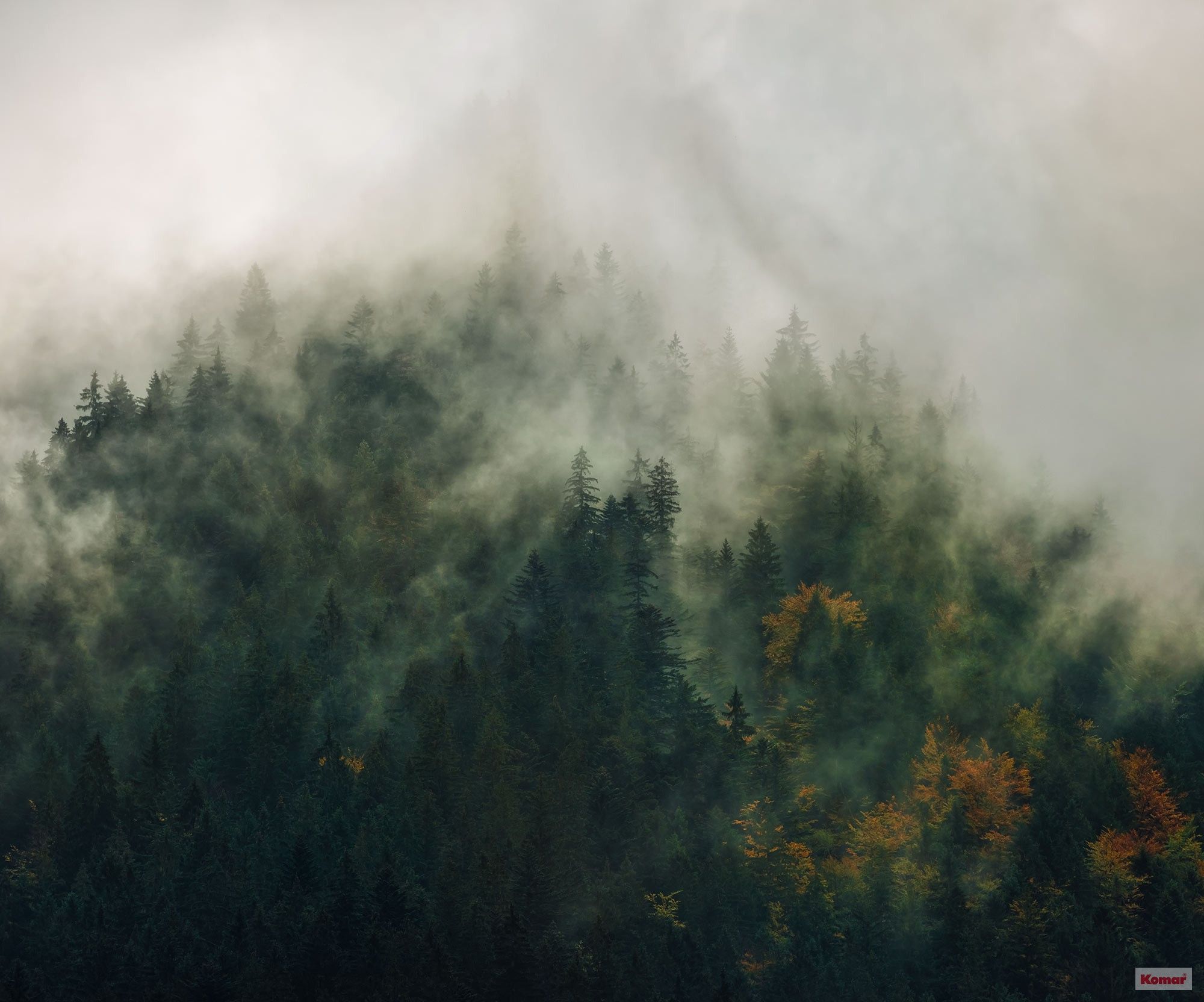 Foto tapeta Tales of the Carpathians PSH036-VD3