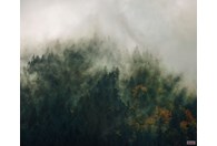 Foto tapeta Tales of the Carpathians PSH036-VD3