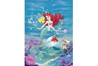 Foto tapeta Ariel Singing 4-4020