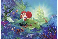 Foto tapeta Ariel Castle 4-4021