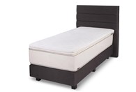 Kreveti Mediterranea