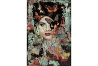 Slika Lady Butterfly