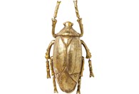 Zidni ukras Plant Beetle Gold