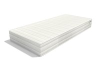 Madrac Real H Bed Bug