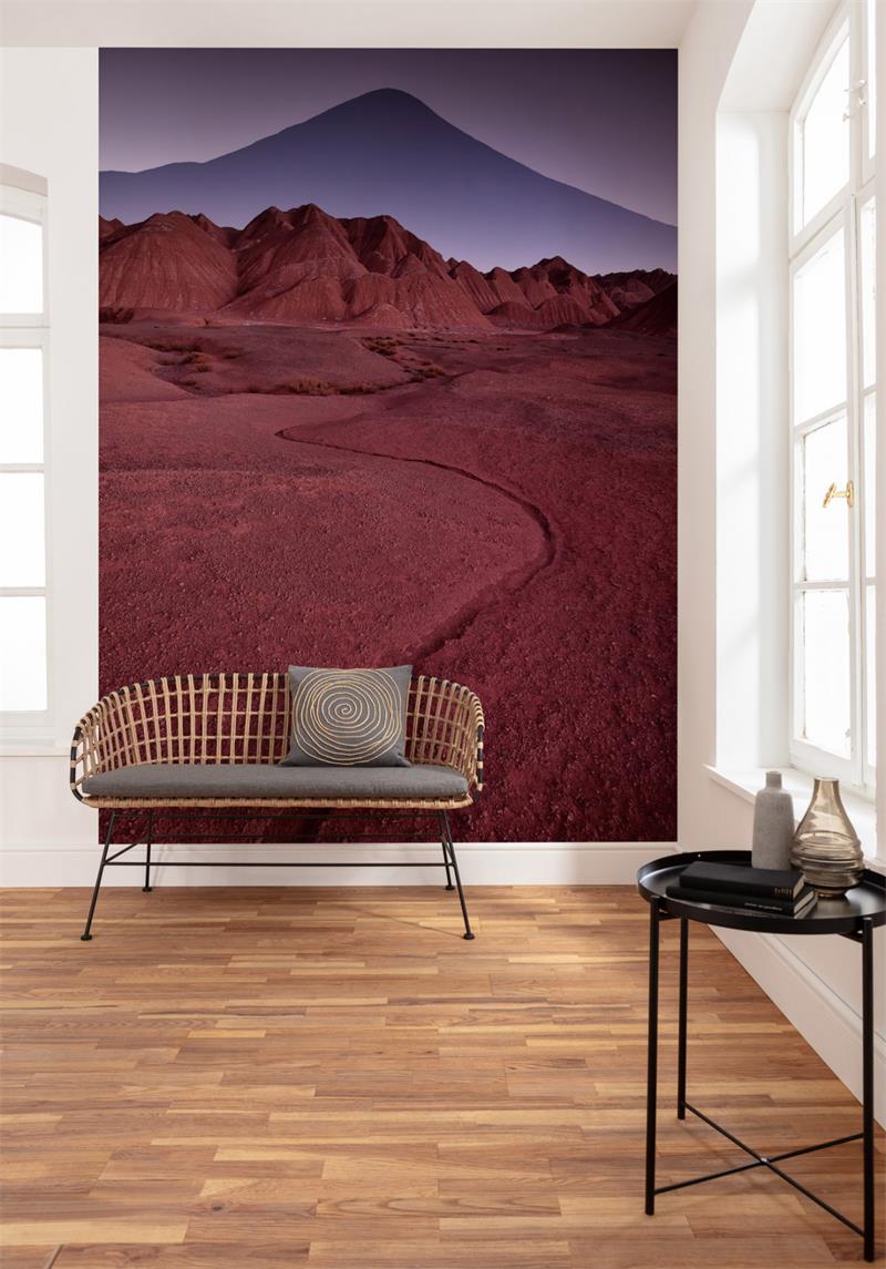 Foto tapeta Red Mountain Desert