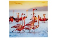 Slika Flamingo Family