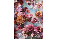 Slika Touched Flower Sky - Salon Rijeka