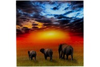 Staklena slika Savanne Elefants 100x100