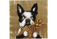 Slika Touched Dog With Pineapple