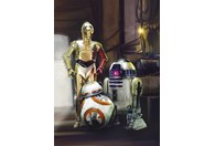 Foto tapeta Star Wars Three Droids 4-447
