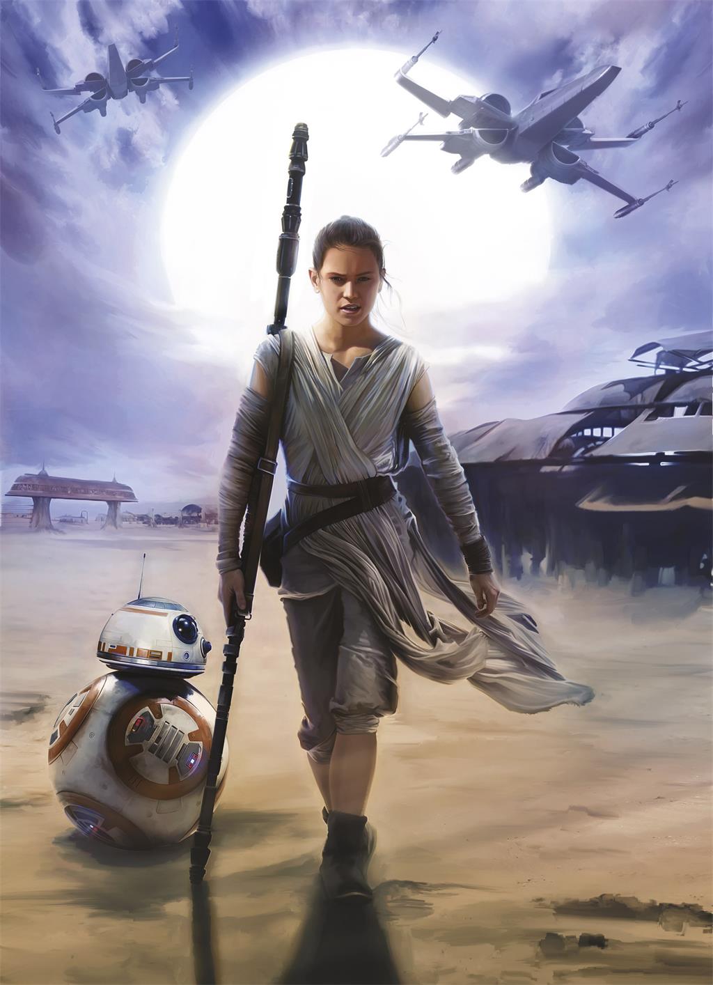 Foto tapeta Star Wars Rey 4-448