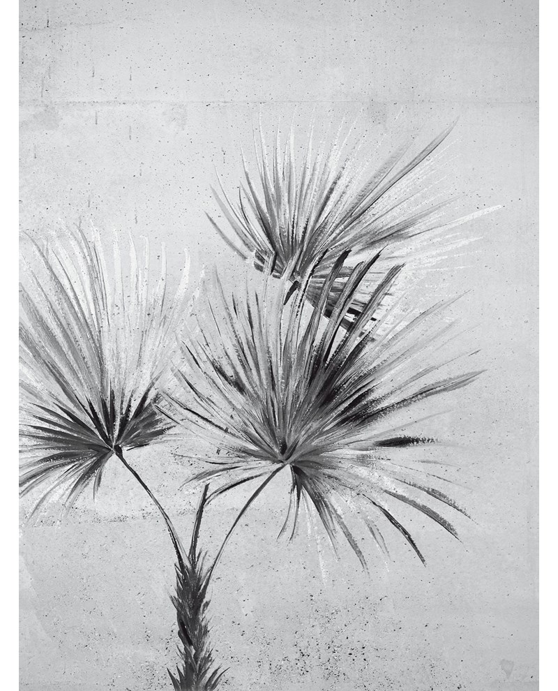 Fotoapeta Terra 391567