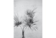 Fotoapeta Terra 391567