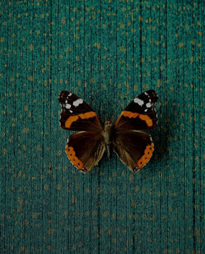 Tapeta Museum 307351