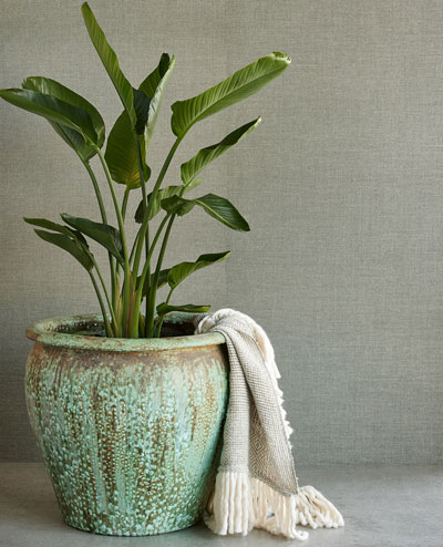 Tapeta Natural Wallcoverings 3 303520