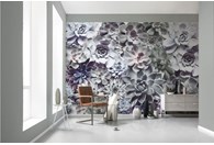 Foto tapeta Shades 8-962