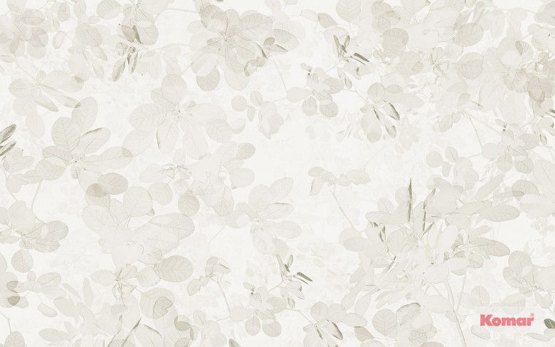 Foto tapeta Sheer Grey