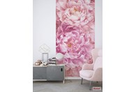 Foto tapeta Soave P009-VD1