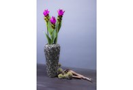 Vaza Rose Multi Chrome Mala