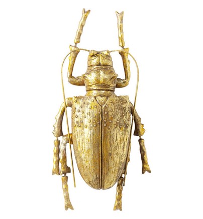 Zidni asesoar Longicorn Beetle Gold