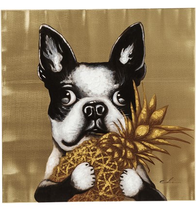 Slika Dog with Pineapple 80x80cm