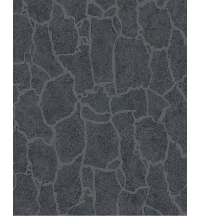 Tapeta Skin 300535