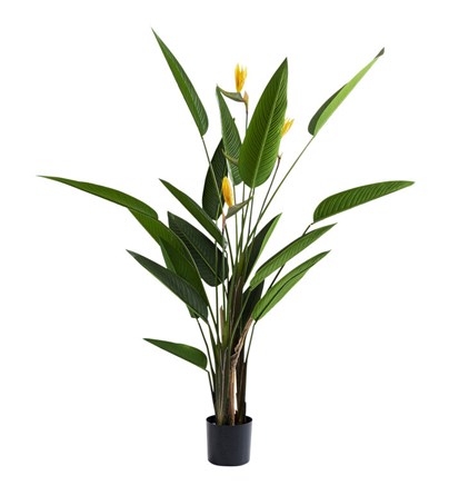 Dekorativna biljka Paradise Flowers 190cm