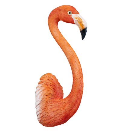 Zidni asesoar Flamingo Road 72cm